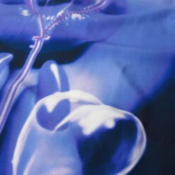 Huf Bubble Shortsleeve Resort Shirt Multi -Slam City Shop BUBBLE S S RESORT SHIRT MULTI BU00243 MULTI 03