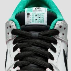Nike SB CSEF Dunk Low Pro Summit White / Black / White / Iron Grey 23 Nike SB CSEF Dunk Low Pro Summit White / Black / White / Iron Grey -Slam City Shop HJ4132 100 11