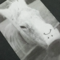 Polar Horse Hand T-Shirt Silver Black -Slam City Shop Polar Skate Co SU25 Tee Horse Hand 4