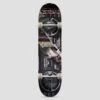 Zoo York 7.75 Boom Box Complete Skateboard