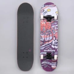Birdhouse 7.75 Stage 3 Armanto Favourites Complete Skateboard Purple