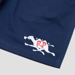 PassPort Peaks & Valleys Casual Short Navy -Slam City Shop casual shorts nvy 003